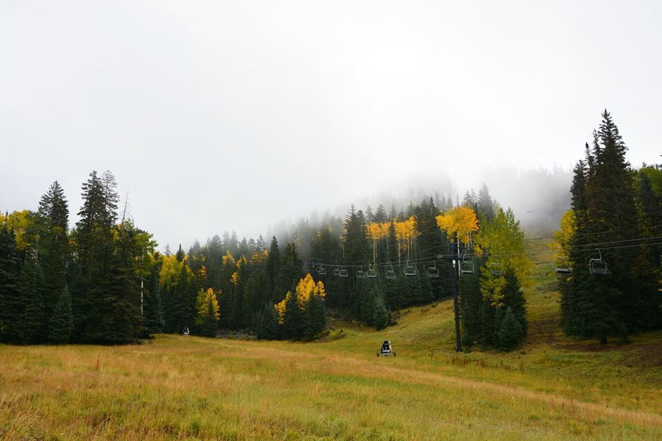 Arizona Snowbowl